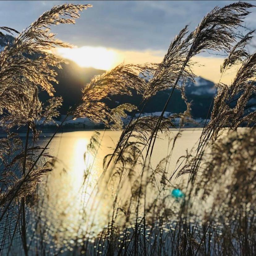 Wolfgangsee Seeblickplatzl 220 - Mit Tollem Seeblick! شتروبل المظهر الخارجي الصورة